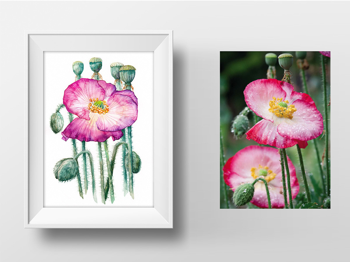 На заказ. ФотоКисточка. Акварель. Арт-галерея картин Анастасии Дерий