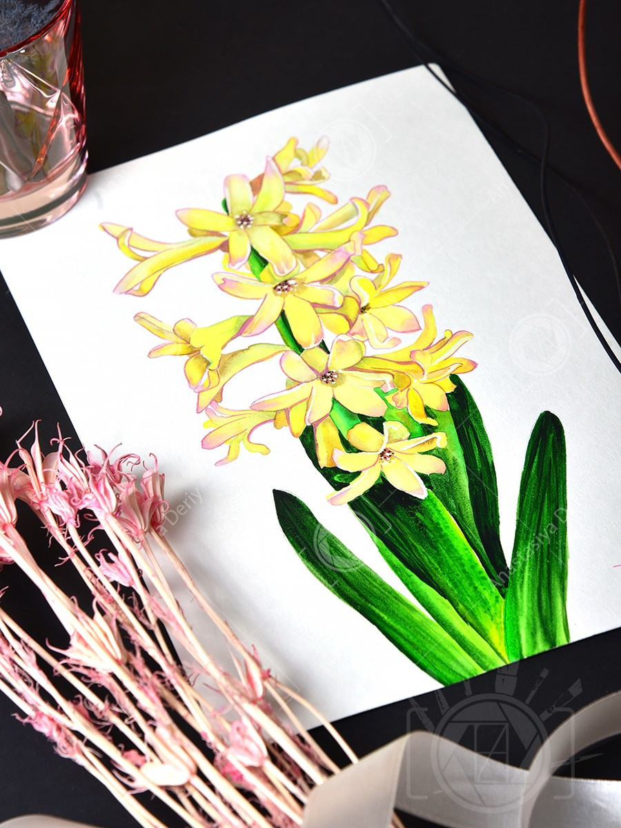 Жёлтый гиацинт. ФотоКисточка. Акварель. Арт-галерея картин Анастасии Дерий