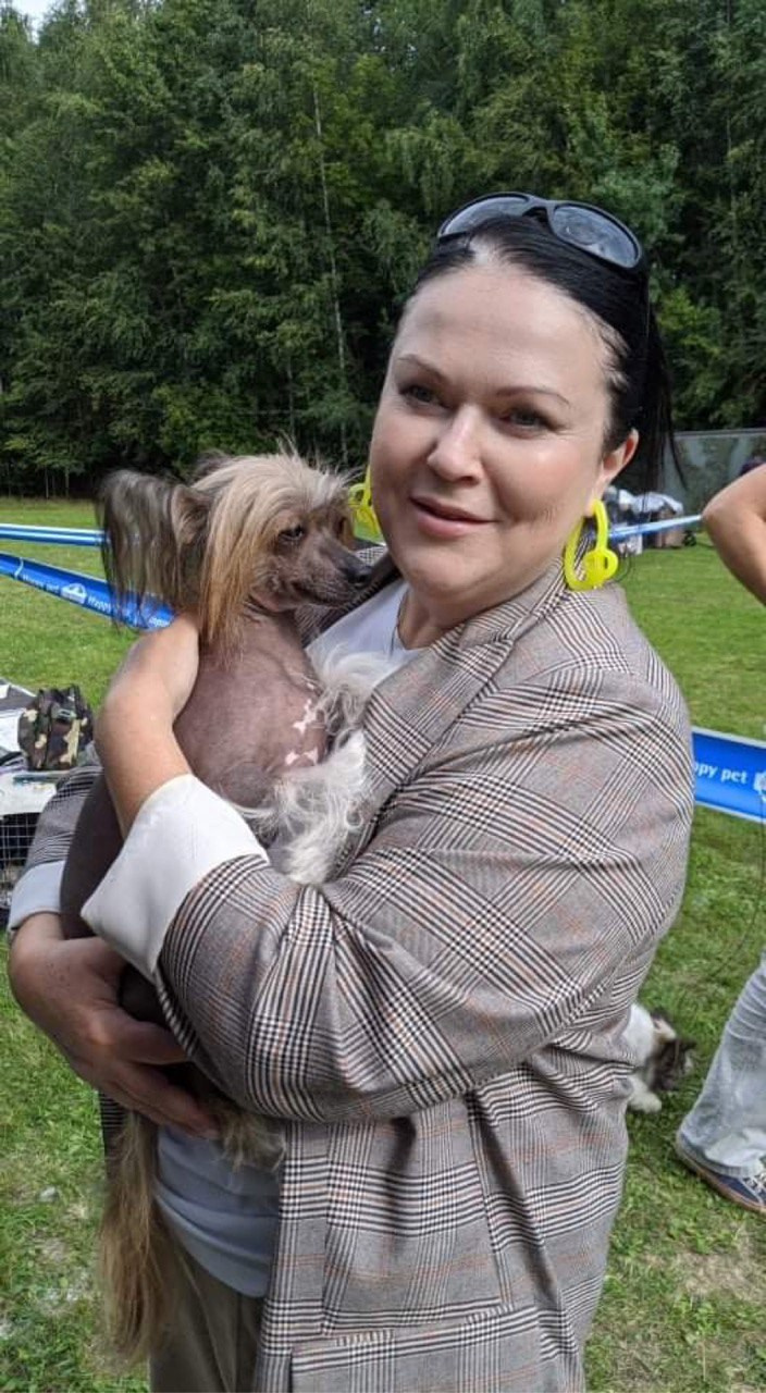 Первый фестиваль породы «Яркий мир КХС 2021». Две выставки. Питомник китайских хохлатых собак Poale Ell: купить щенка