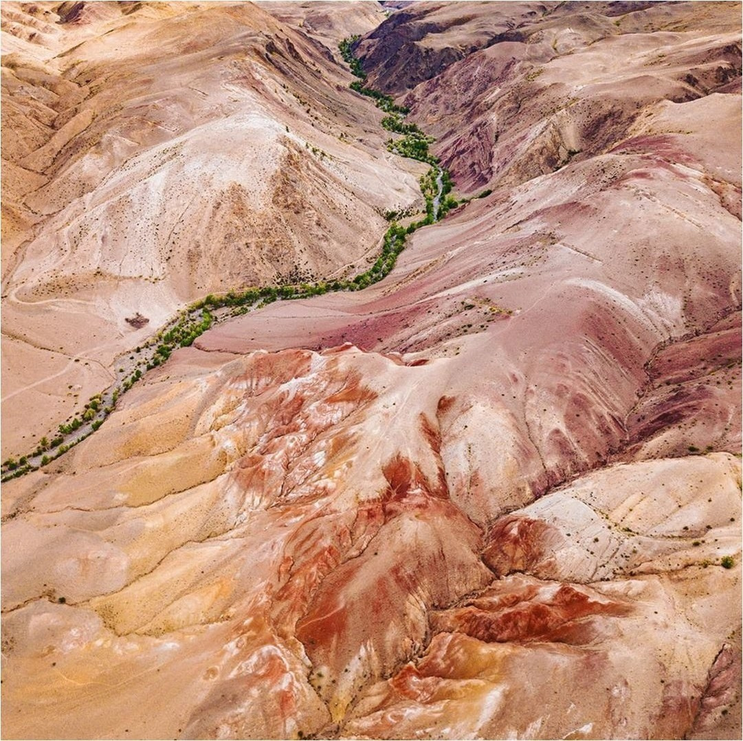 Алтай. Уникальные экспедиции — LUCKY CLAN