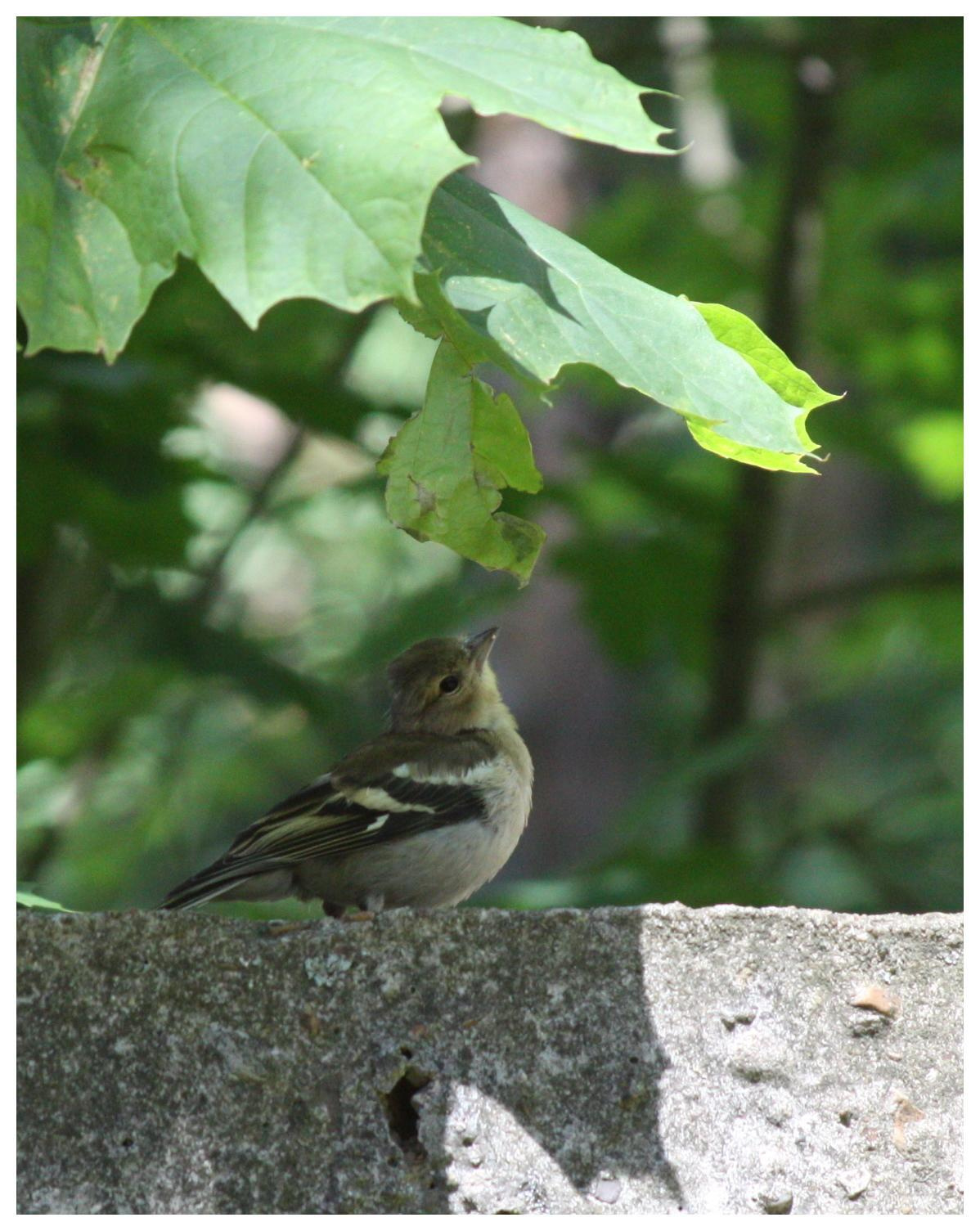 Матвей Лебедев: фото и видео, сайты. Москва, Жуковский, Малаховка