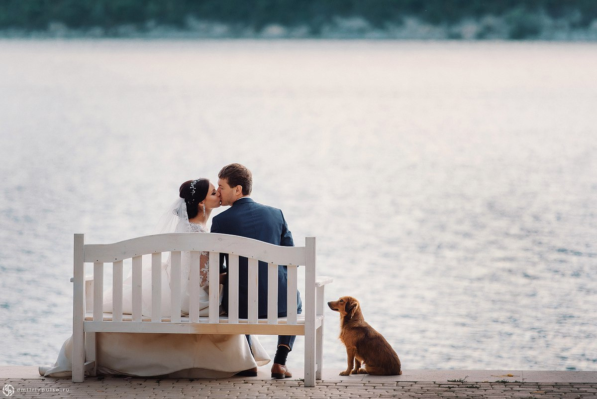 Дмитрий Пульс — фотограф, видеограф, рилсмейкер, нейрокреатор=) Снимаю в Новороссийске, Анапе, Геленджике, Краснодару и по Миру