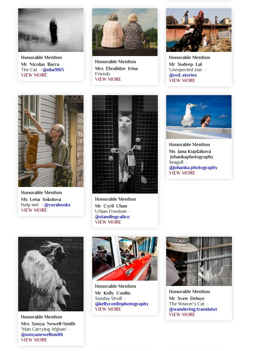 Пять почетных упоминаний жюри на конкурсе Pispa-2025. Фотографии Лены Соколовой