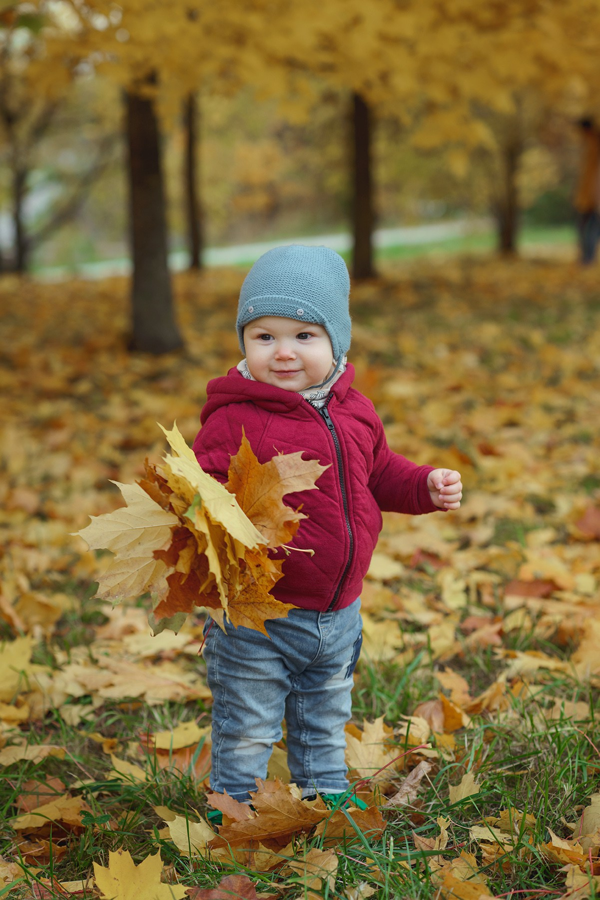 Photo shoot of a little child in autumn. Photos with yellow leaves