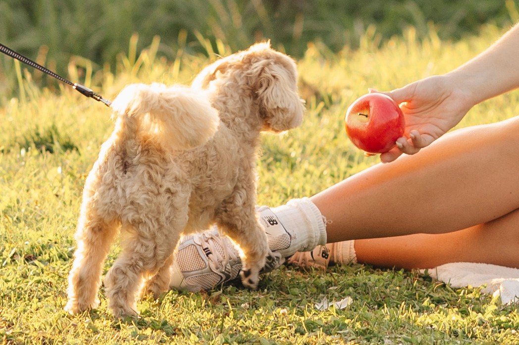 Семейная фотосессия на природе. Анна Боровикова, фотограф Пушкино