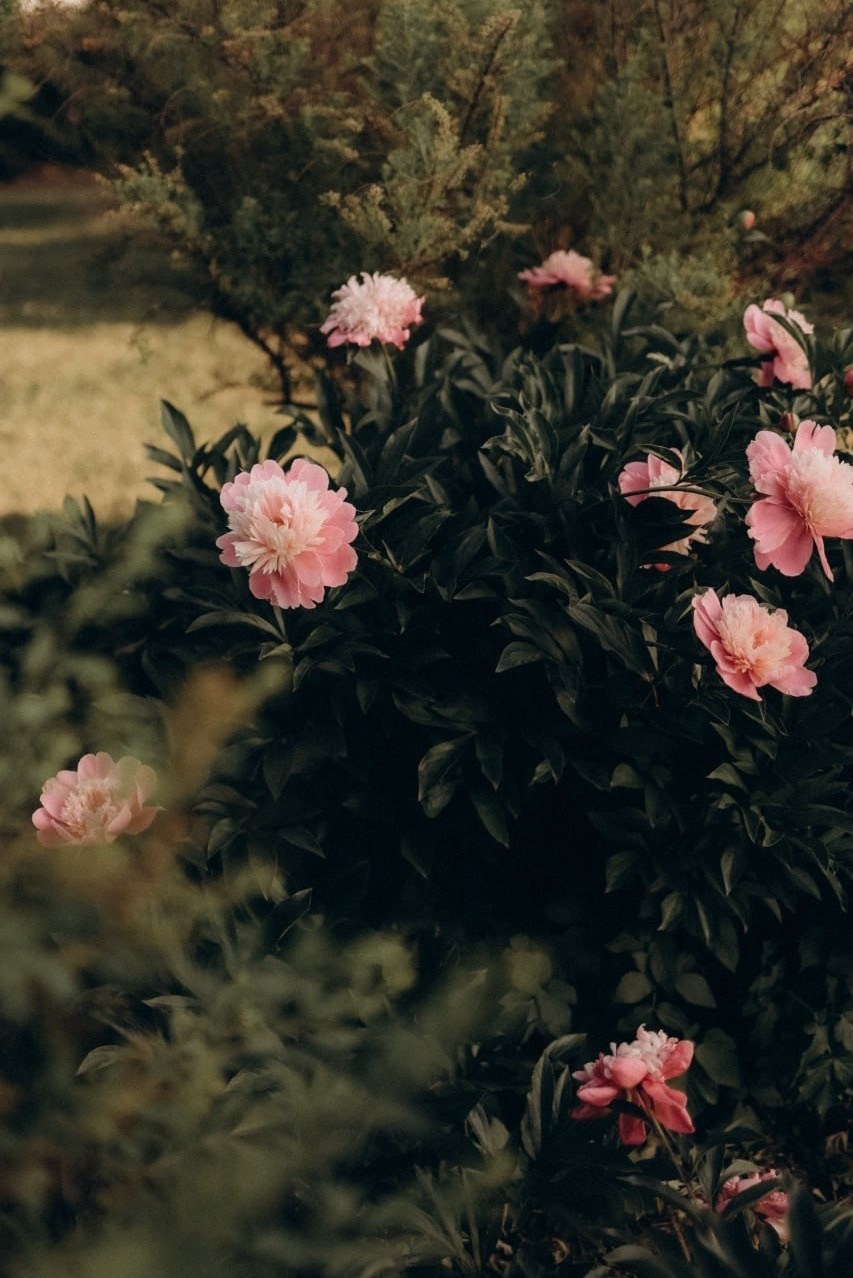 Фотопрогулки по Нижнему Новгороду. Фотограф и видеограф Елена Лисина