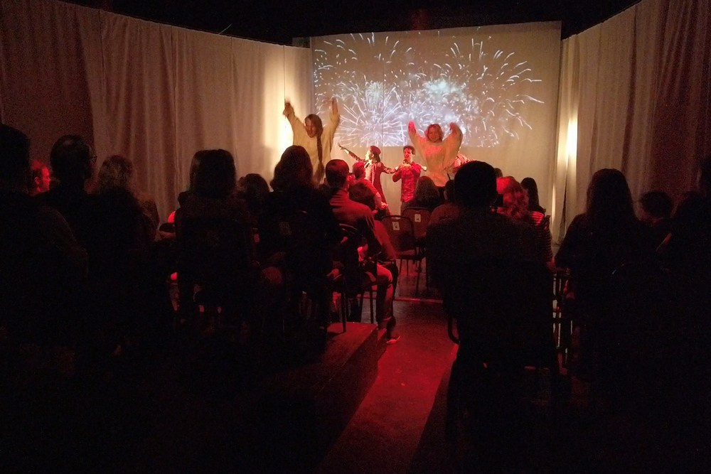 «ГАРШИН-FLY» метаирония. Полёт сознания, режиссёр - Дмитрий Собачкин, Дом Шрёдера