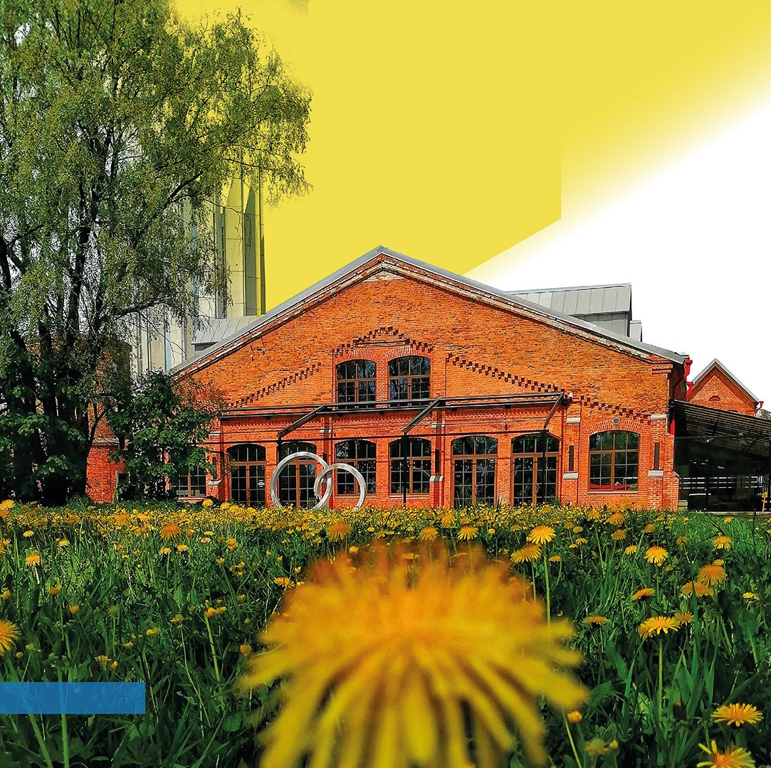 Паблик-арт проекты