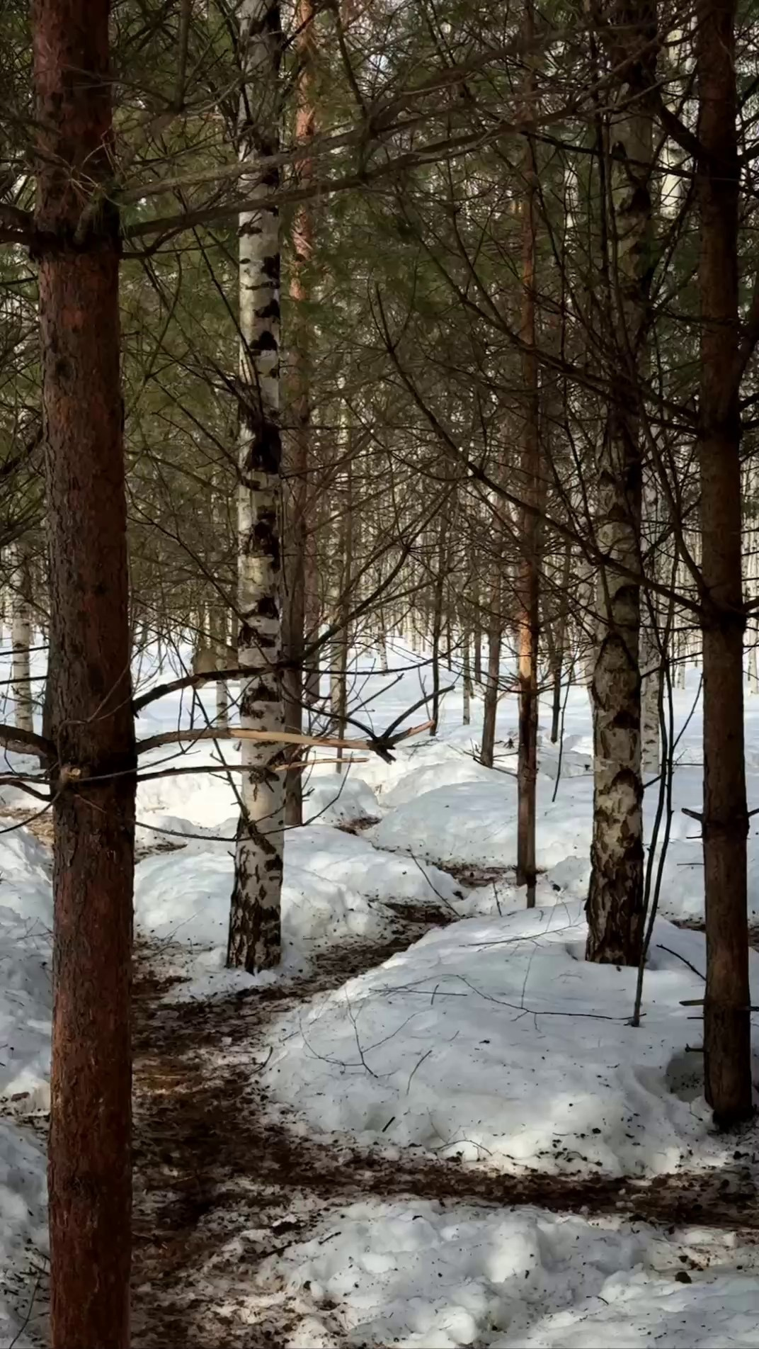 Nizhniy Novgorod. Dinner at Dodici Grill. The Other Pavel Potseluev — film photography and mastery of meat business