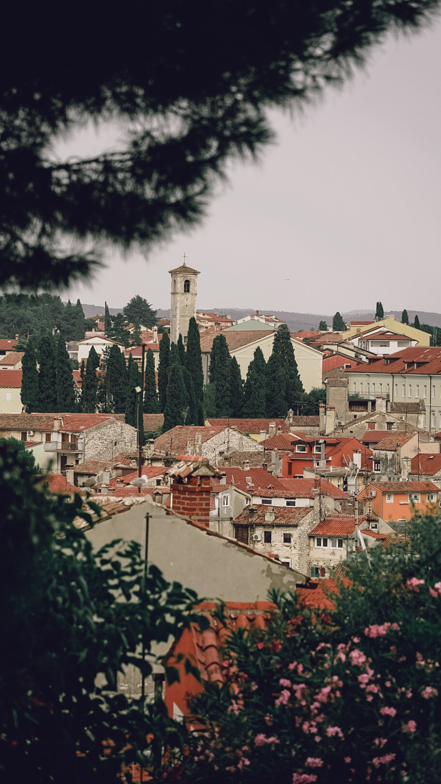 Хорватия 2021. Человек с фотокамерой