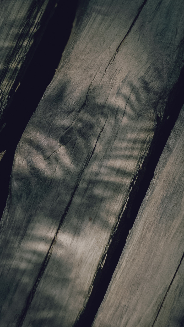 Хорватия 2021. Человек с фотокамерой