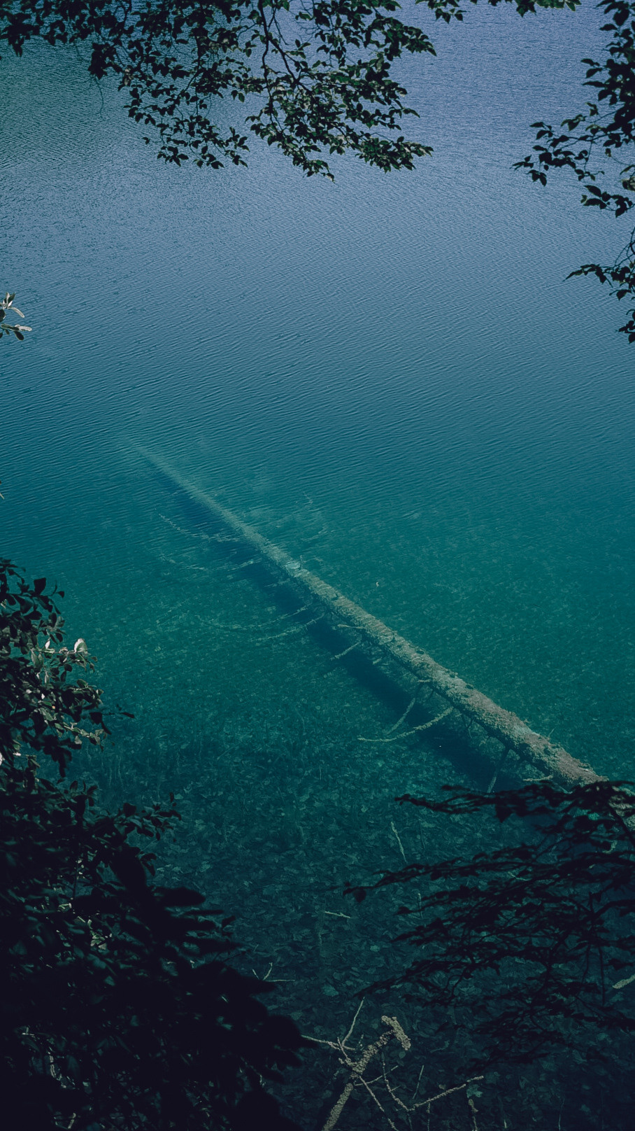 Хорватия 2021. Человек с фотокамерой