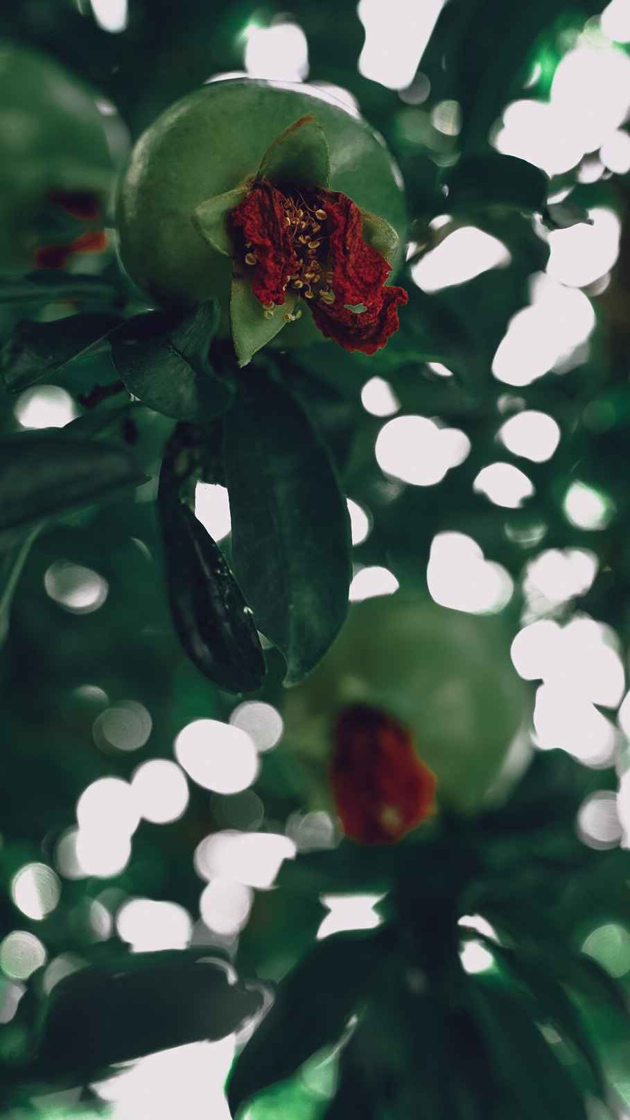 Хорватия 2021. Человек с фотокамерой