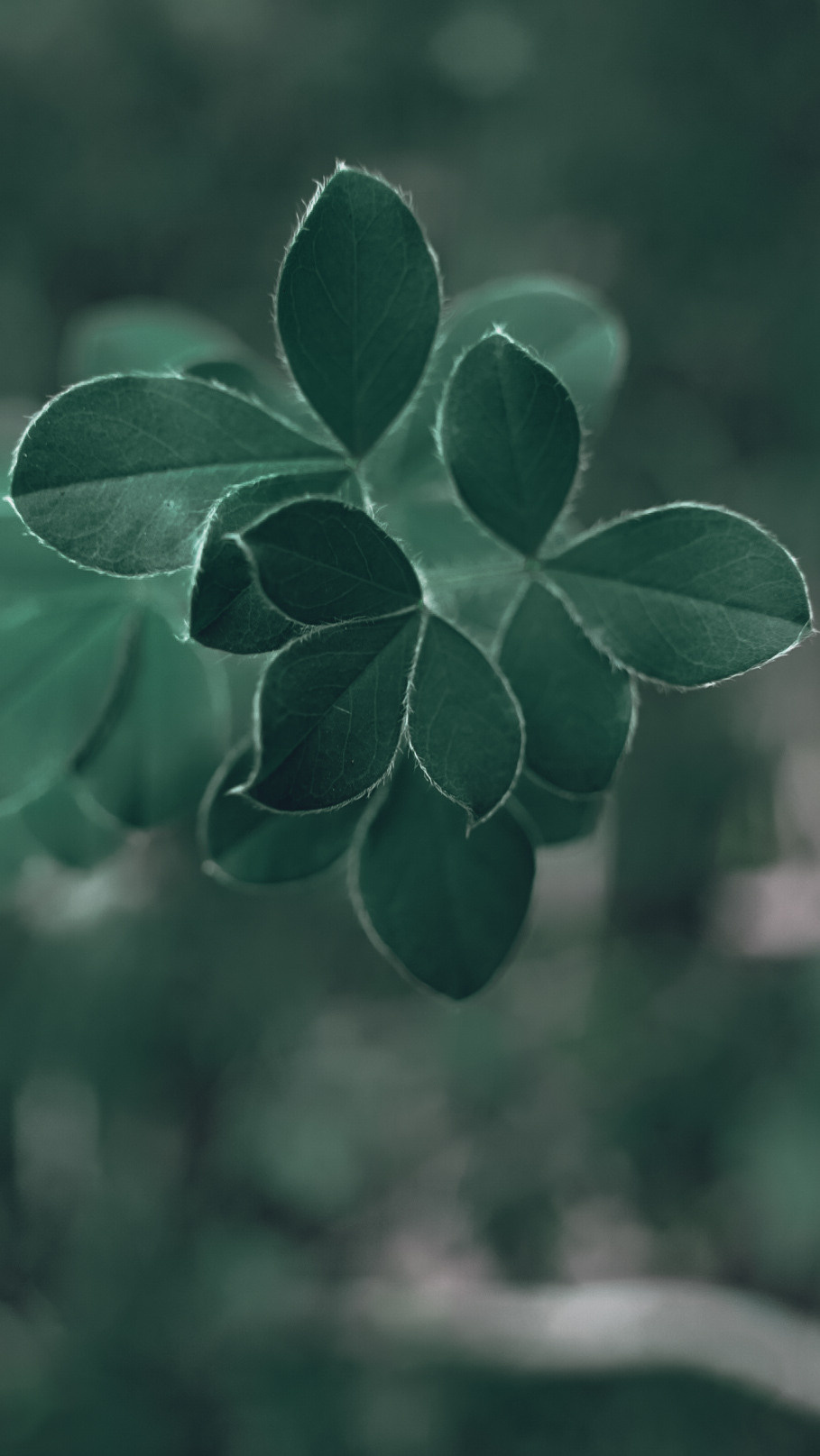 Хорватия 2021. Человек с фотокамерой