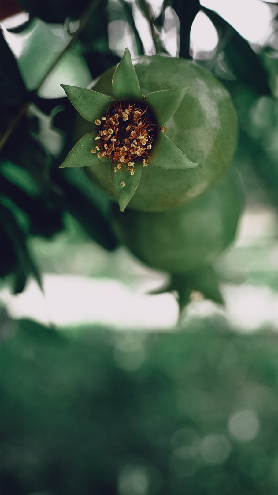 Хорватия 2021. Человек с фотокамерой