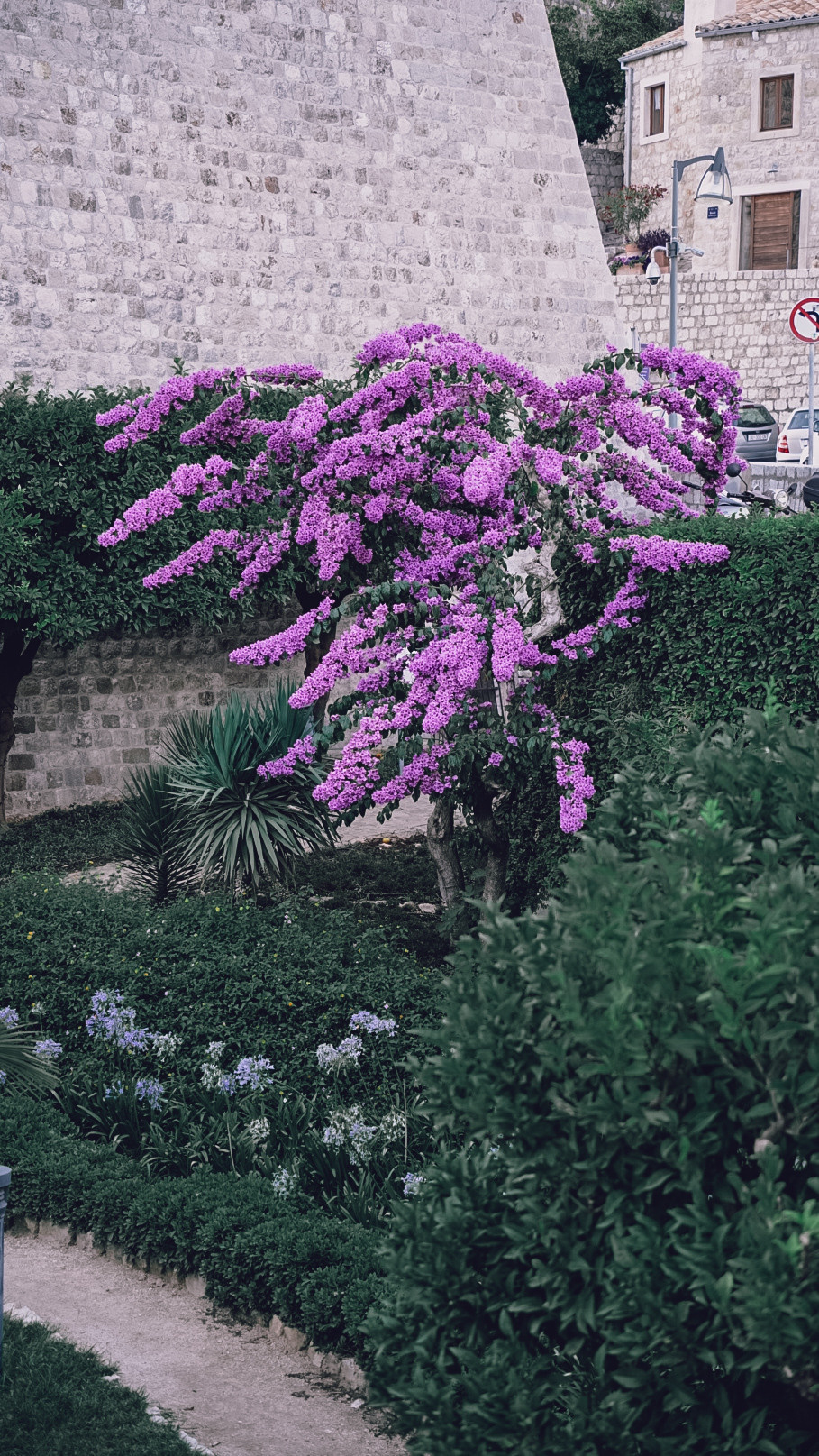 Хорватия 2021. Человек с фотокамерой