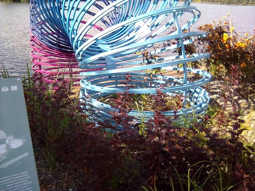 ВНИМАНИЕ! ФЕСТИВАЛЬ ЛАНДШАФТНОГО СТРОИТЕЛЬСТВА. 俄罗斯设计估算