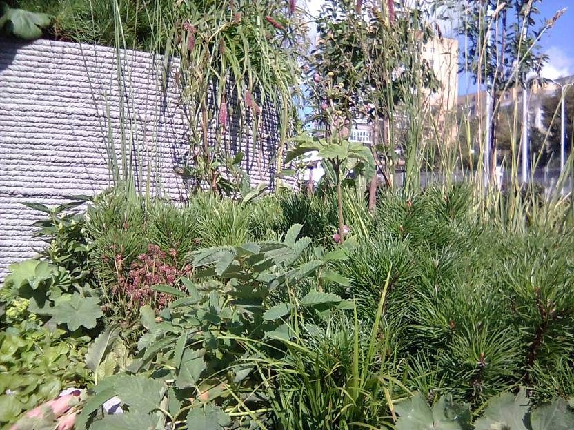 ВНИМАНИЕ! ФЕСТИВАЛЬ ЛАНДШАФТНОГО СТРОИТЕЛЬСТВА. 俄罗斯设计估算