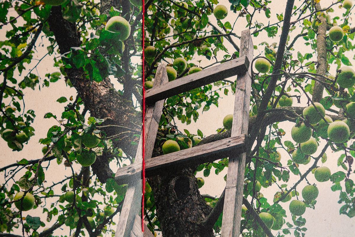 Olga Mikhalchuk is the best portfolios contest winner. Olga Mikhalchuk, visual artist