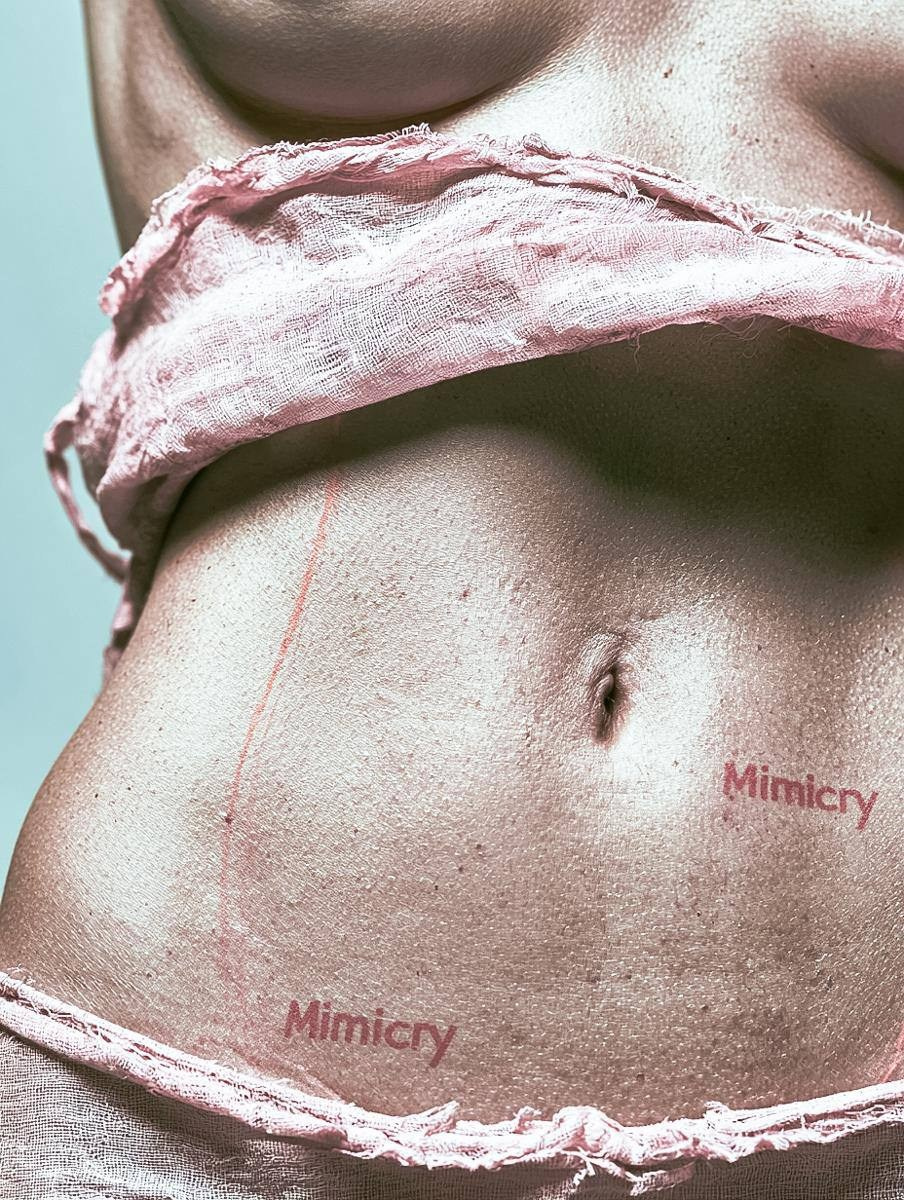 Mimicry. WAYS12