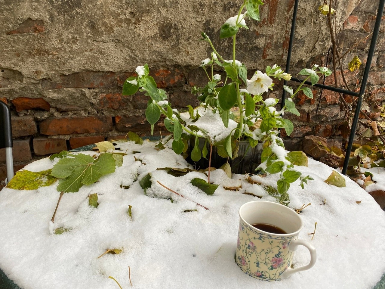 Новости. Дом Шрёдера