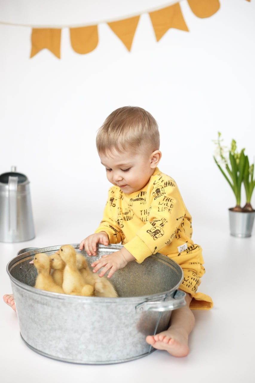 Детские фотосессии с утятами в Железнодорожном и Балашихе