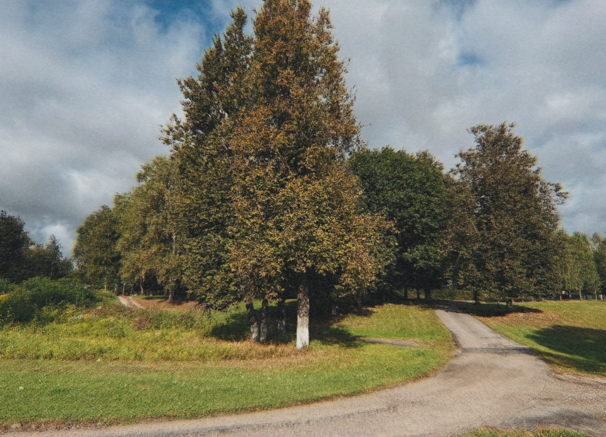 Бежичи, Фрегат. Семейный и детский фотограф |Брянск| Анастасия Перепелкина