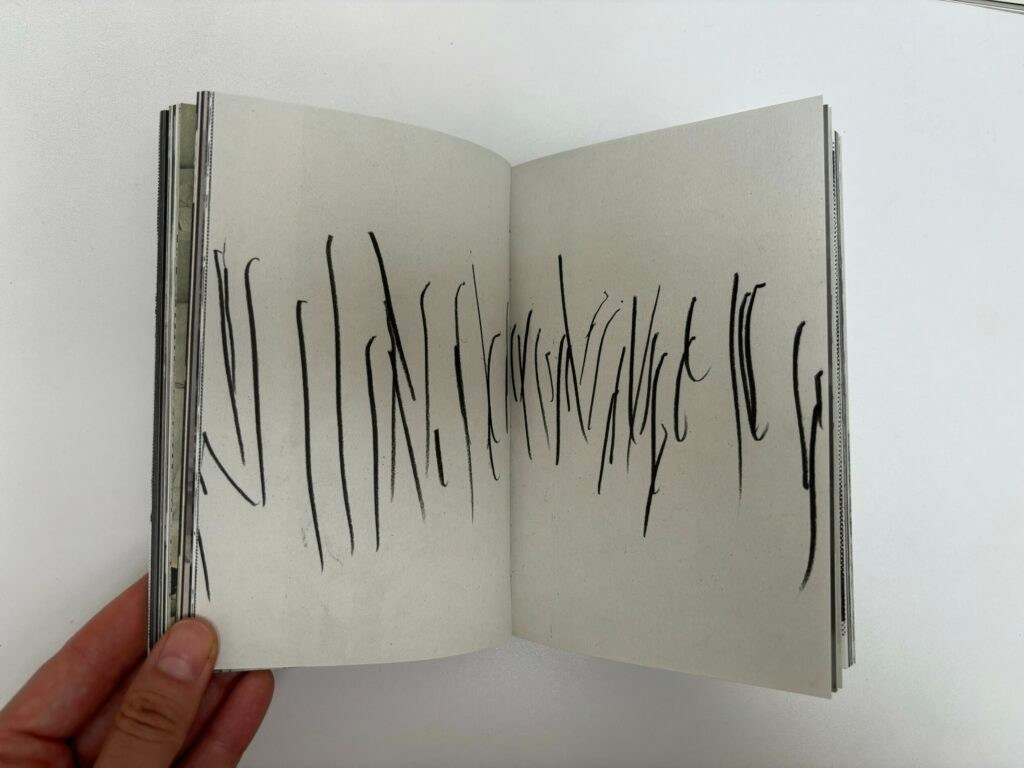 Книга Ройсин Уайт (Róisín White) «Lay Her Down Upon Her Back». Private image