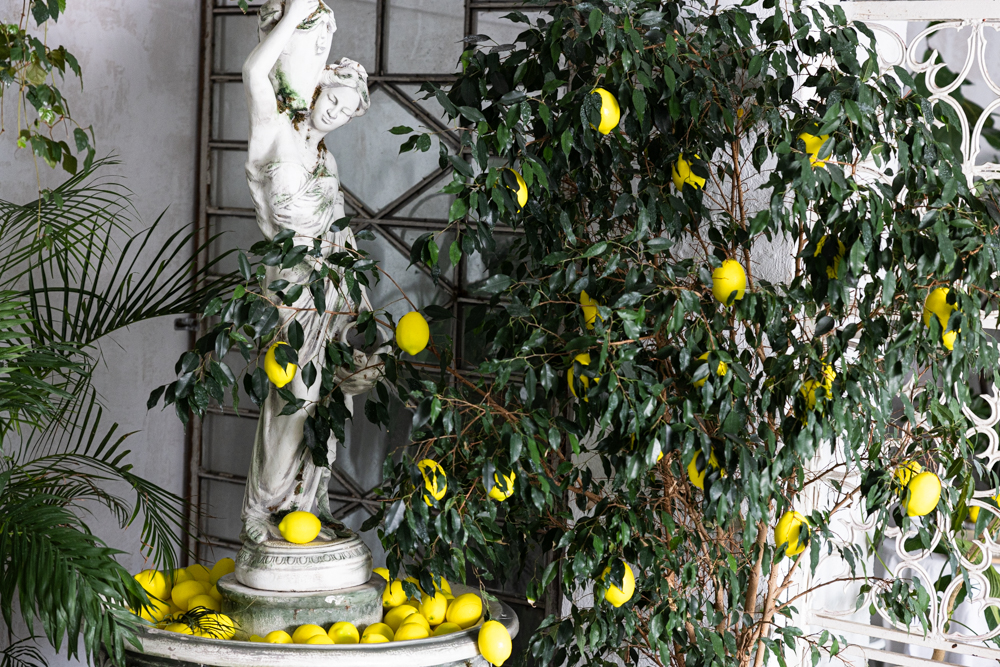 Photohub прочие залы. Фотограф в Минске Людмила Дутко