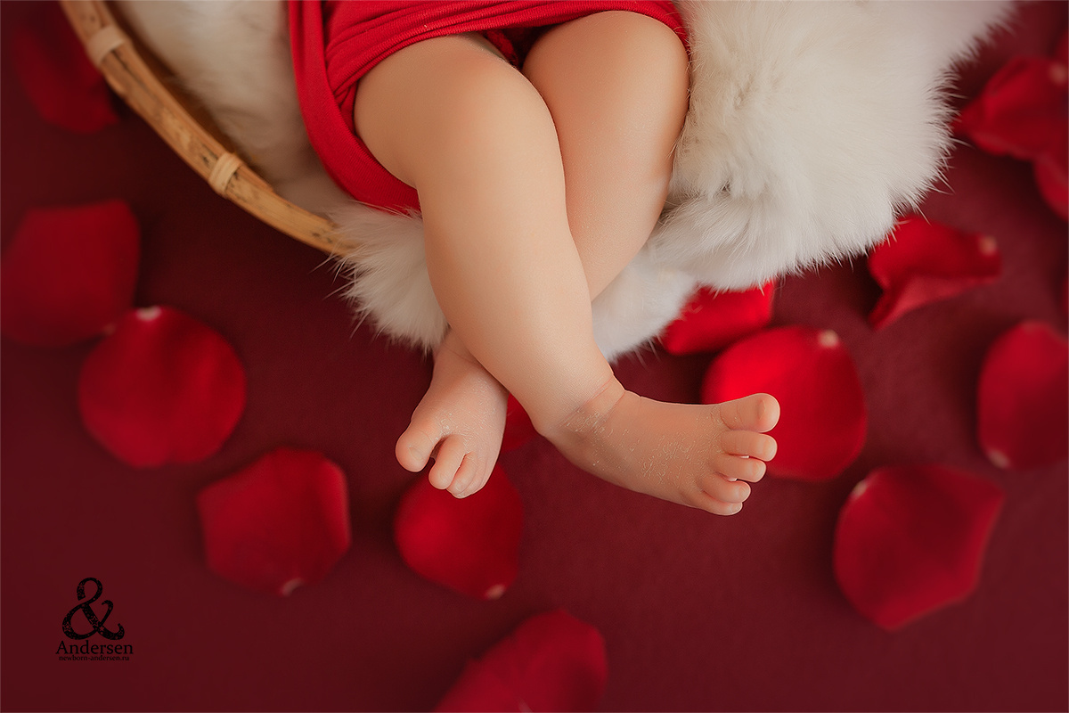 Фотосессии новорожденных (Newborn). Фотограф новорожденных в Самаре Марья Андерсен