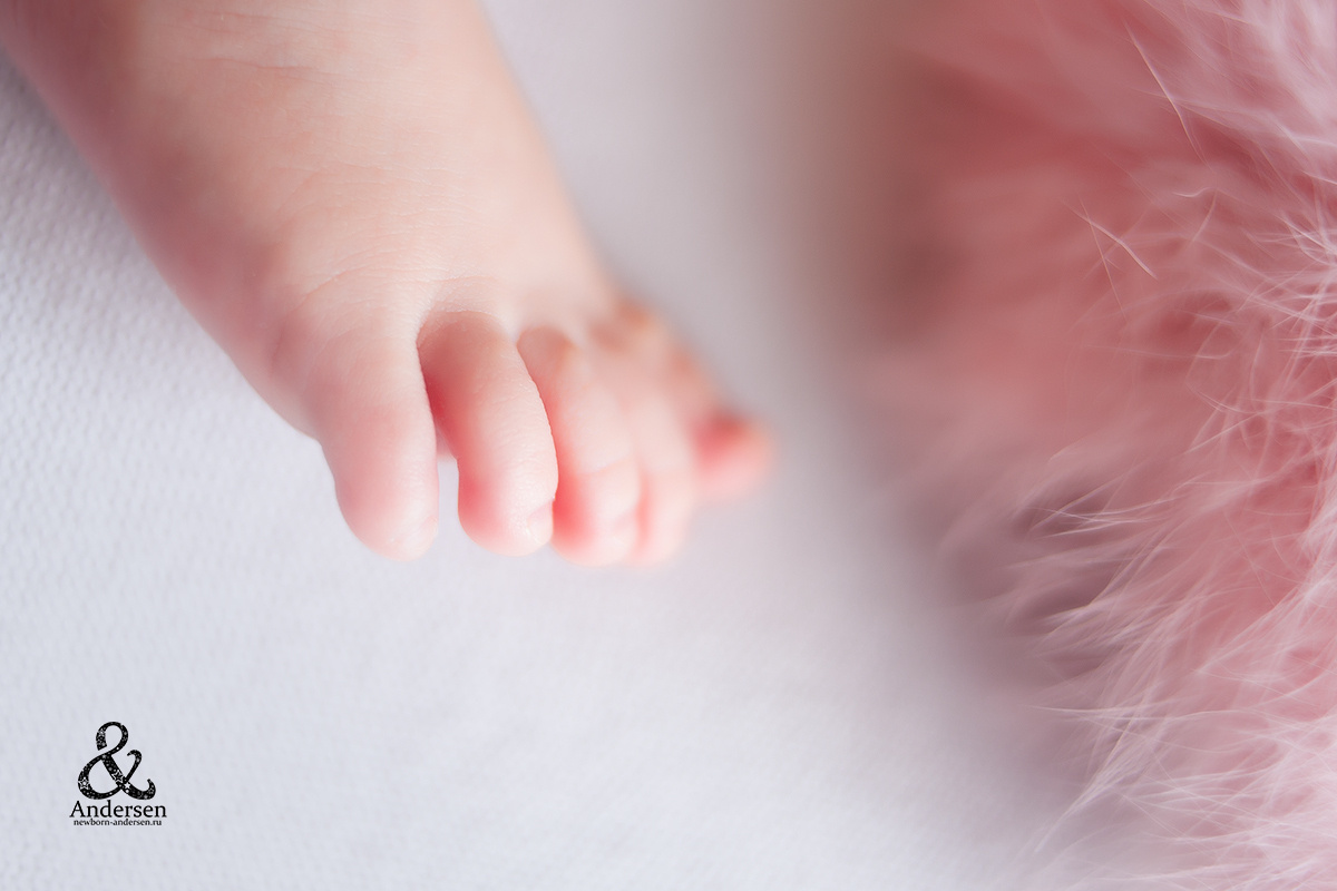 Фотосессии новорожденных (Newborn). Фотограф новорожденных в Самаре Марья Андерсен