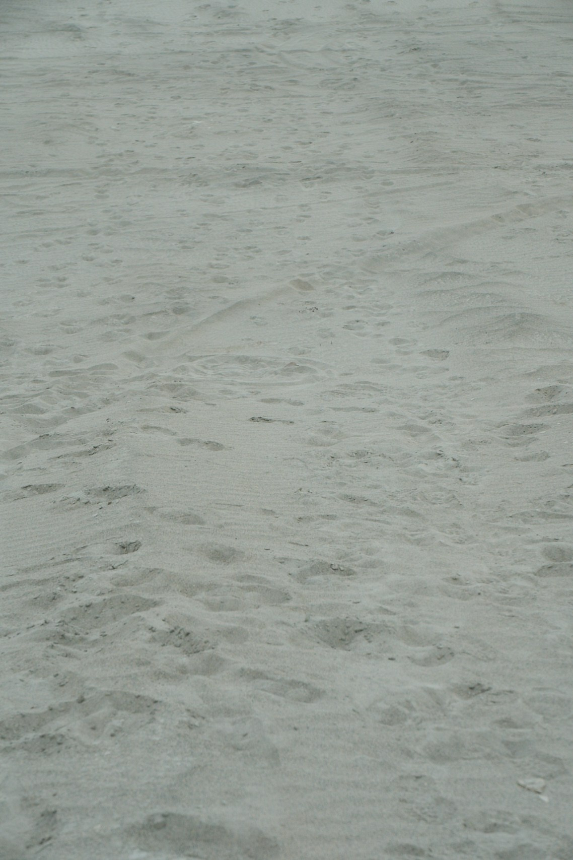 Локация для фотосессии дюны Берёзовские пески. Фотограф Рябинин Евгений. Нижний тагил\Екатеринбург