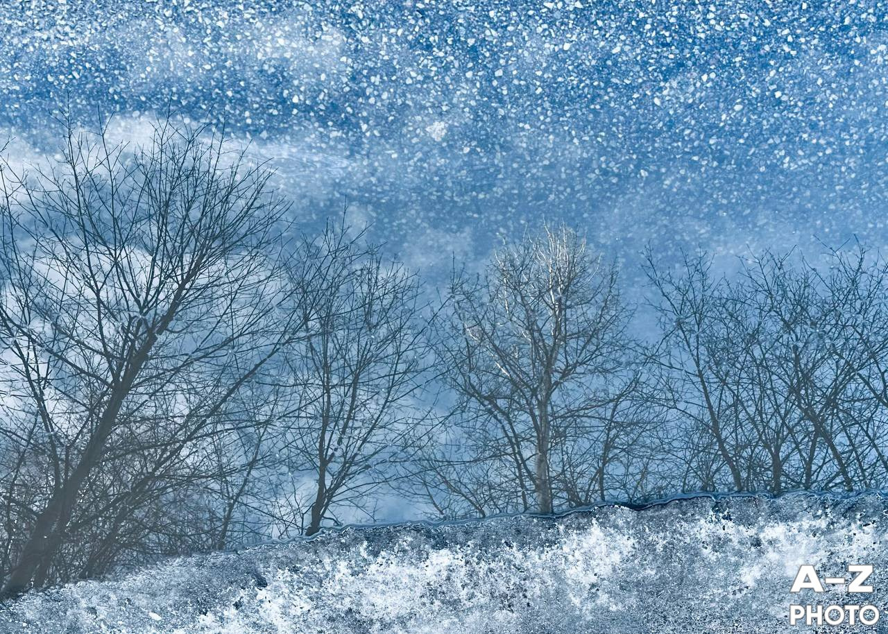 #ФОТОНЕДЕЛИ 16.03.2026. Женский семейный фотограф Тула Москва Захарова Анна