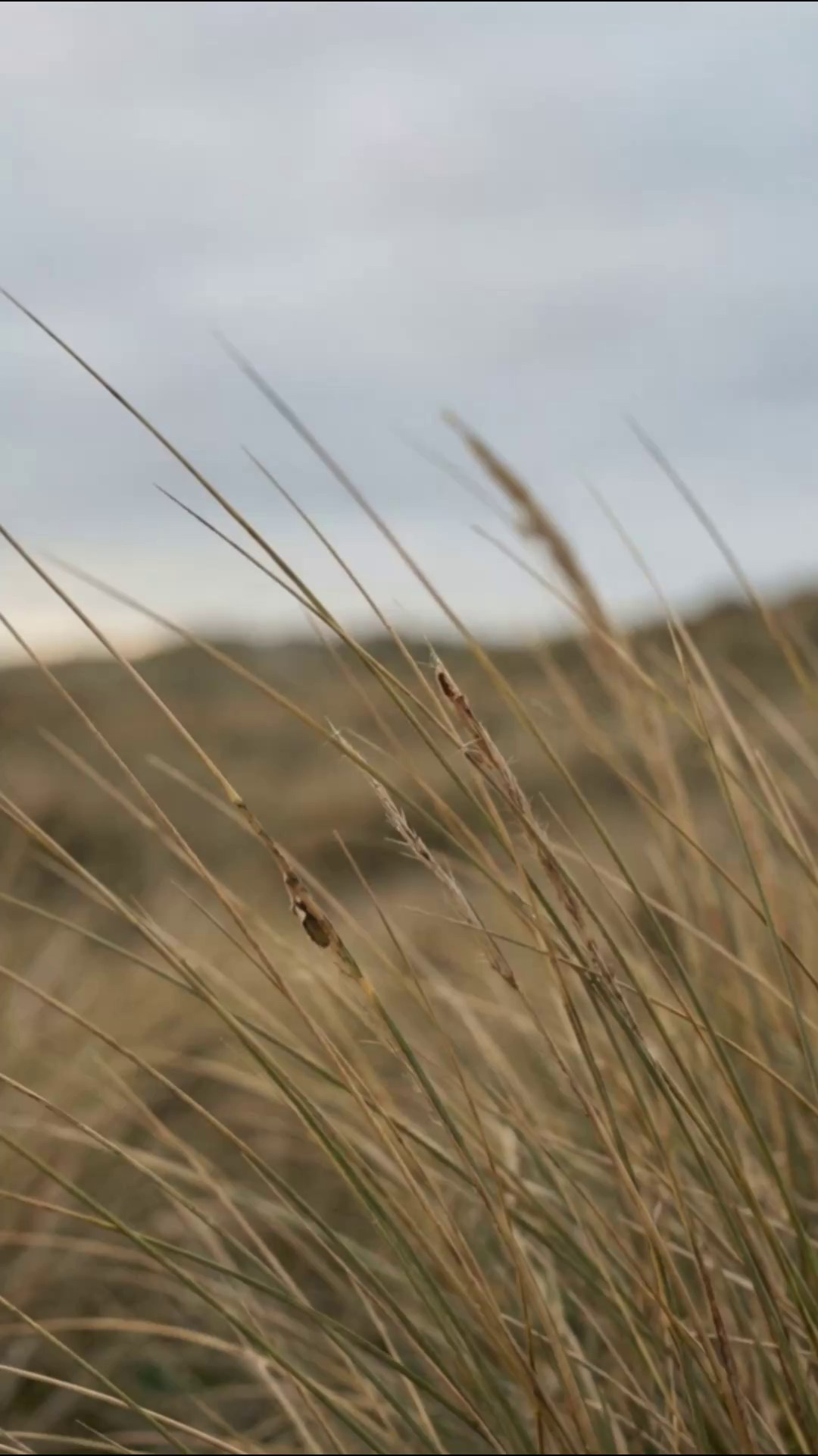 AI контент для бренда одежды. Фотограф Игорь Цаплин