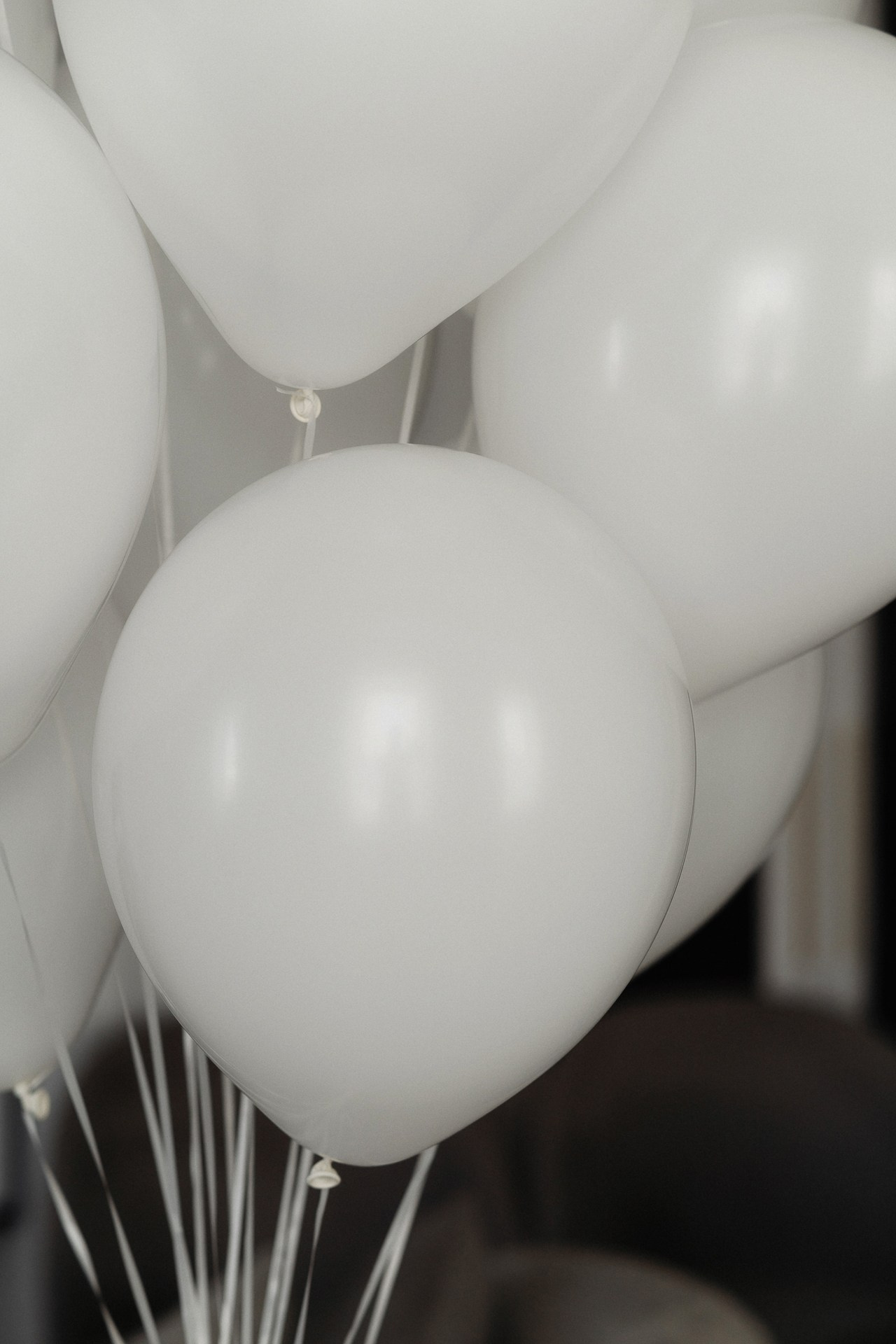 Фёдор и Полина. Свадебный фотограф в Белгороде Антон Каменев