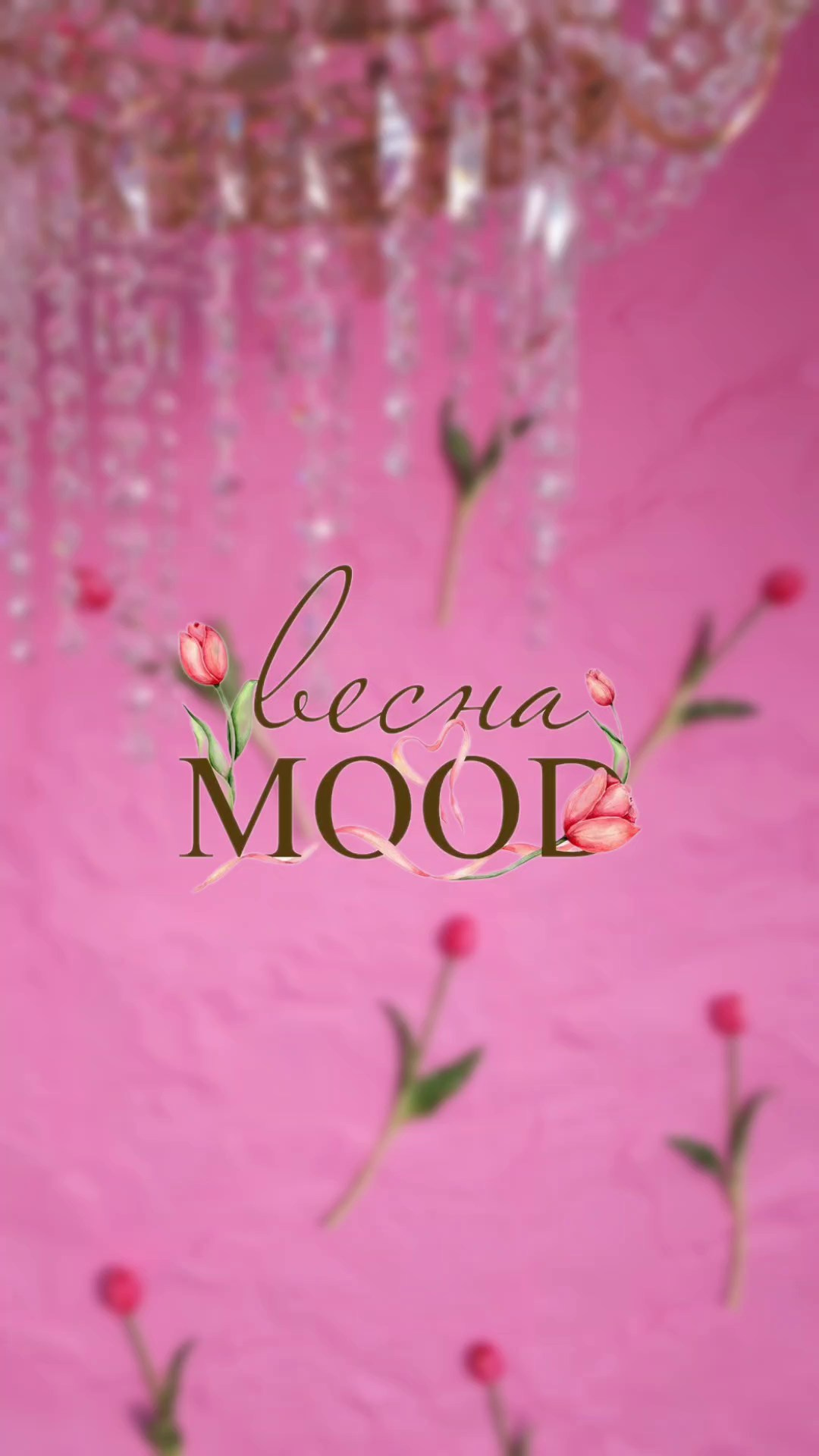 Фотостудия в Краснодаре