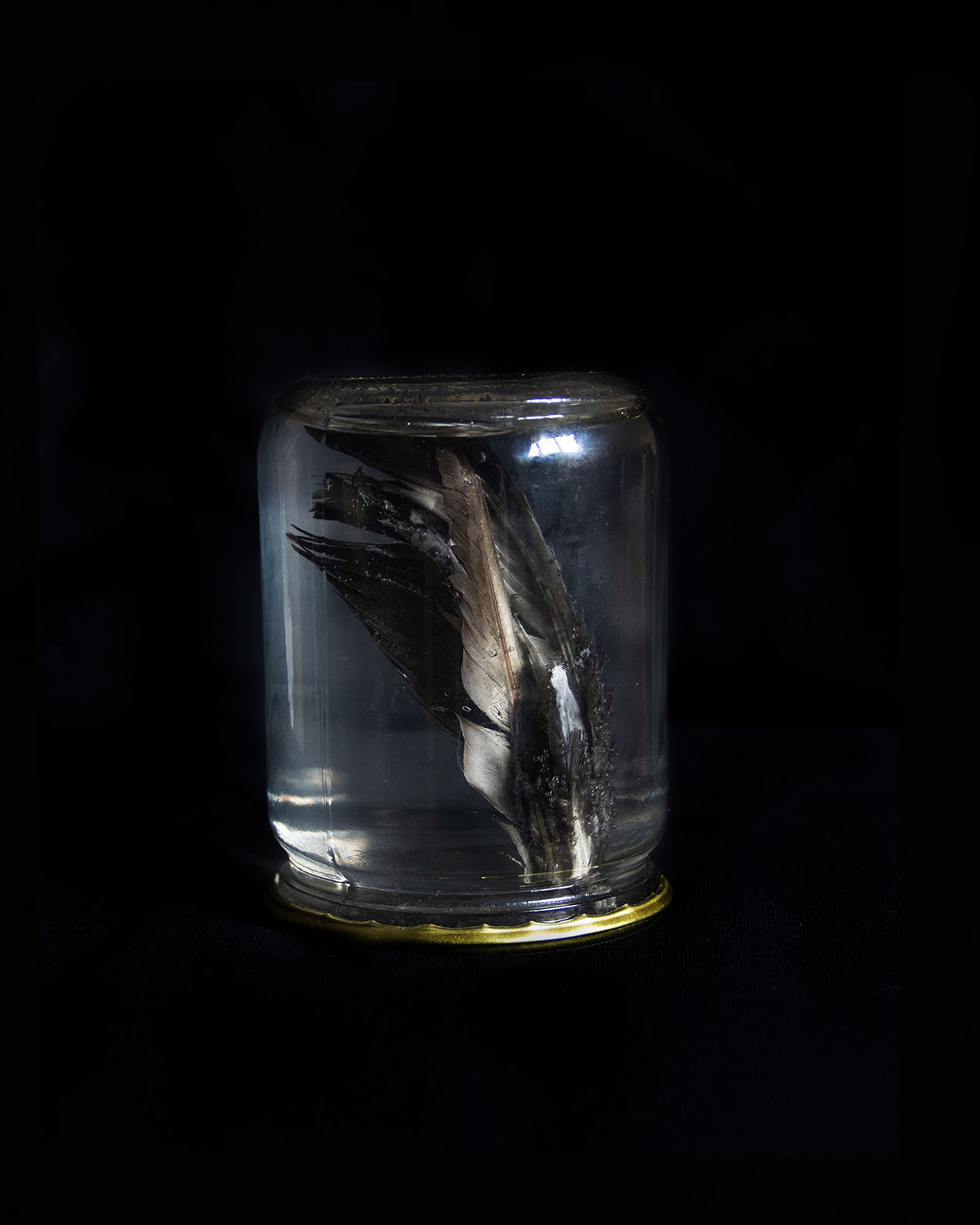 Дикая планета с 20 мая по 20 июля 2022