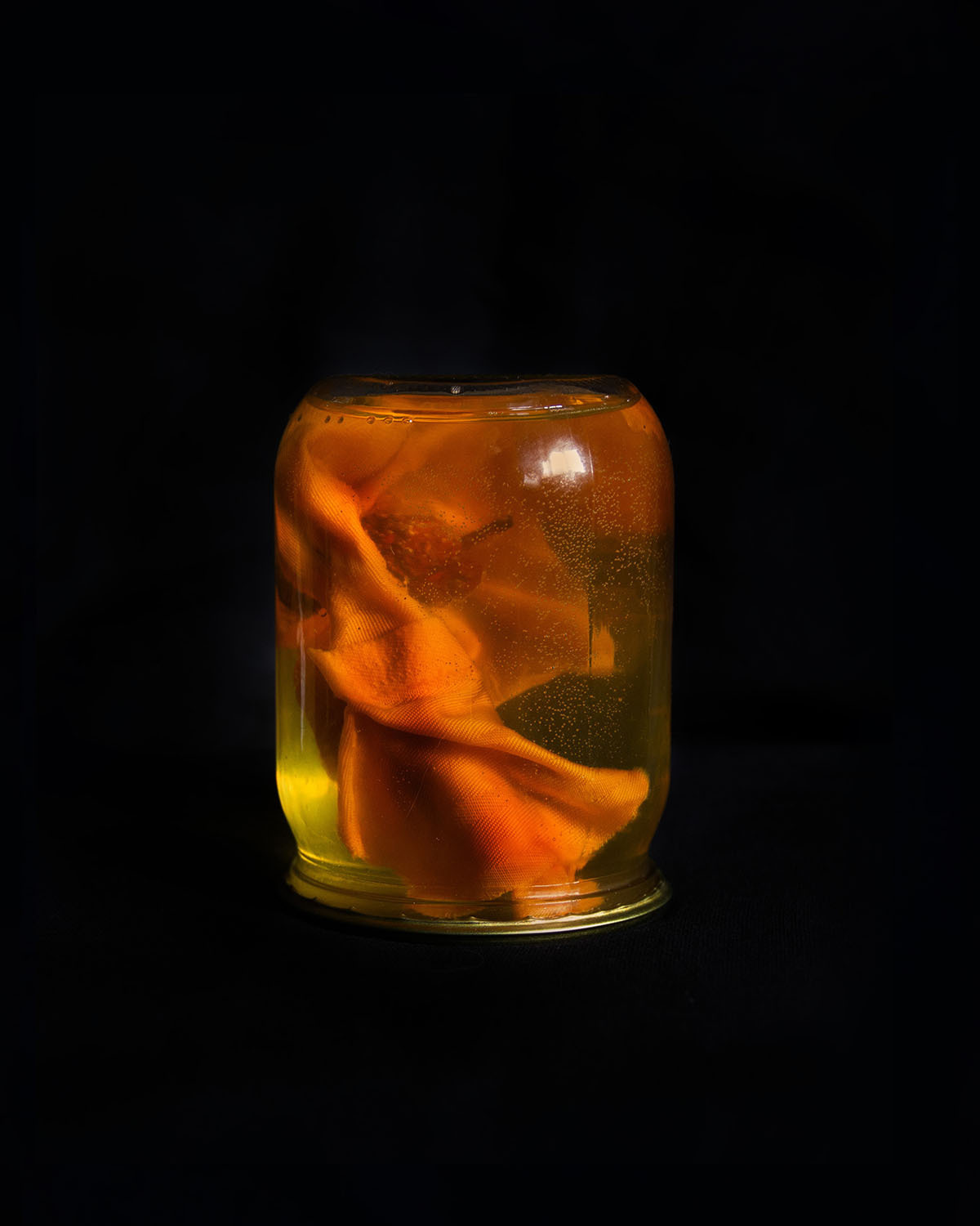 Дикая планета с 20 мая по 20 июля 2022