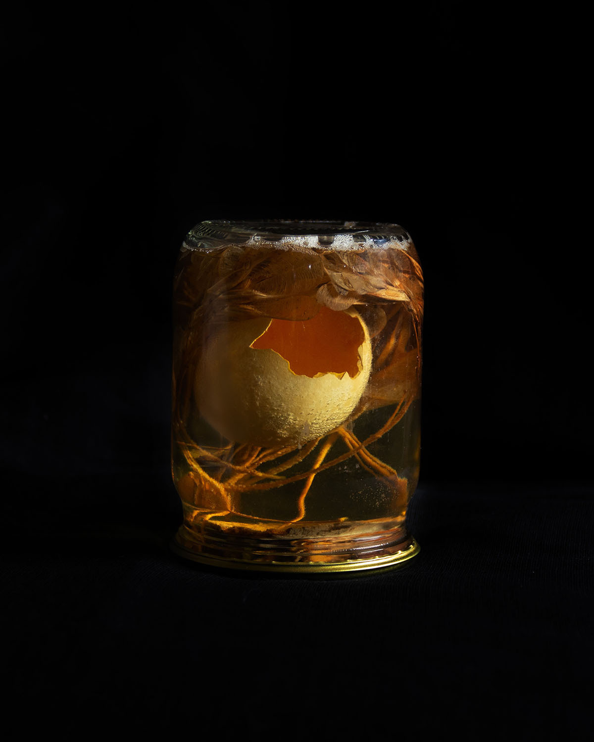 Дикая планета с 20 мая по 20 июля 2022