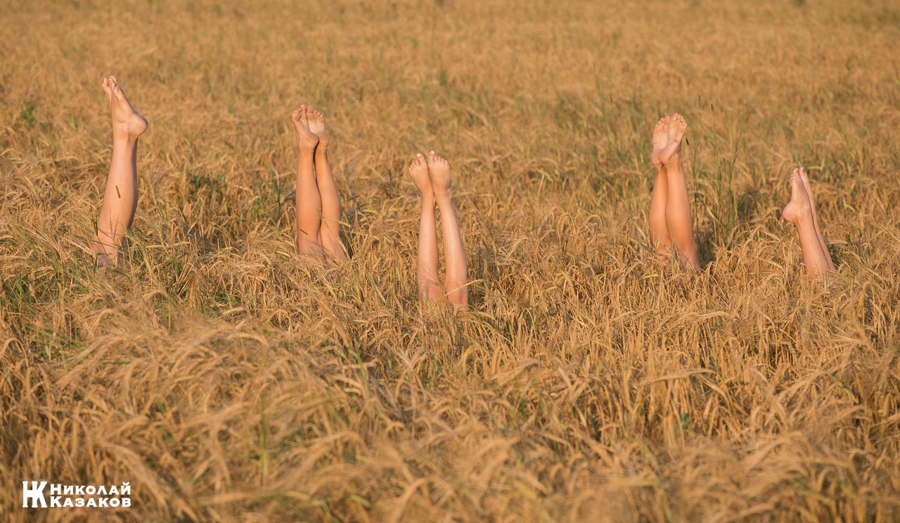 Фотопроект для детей " В поле». Николай Казаков. Профессиональный фотограф. Преподаватель фотографии