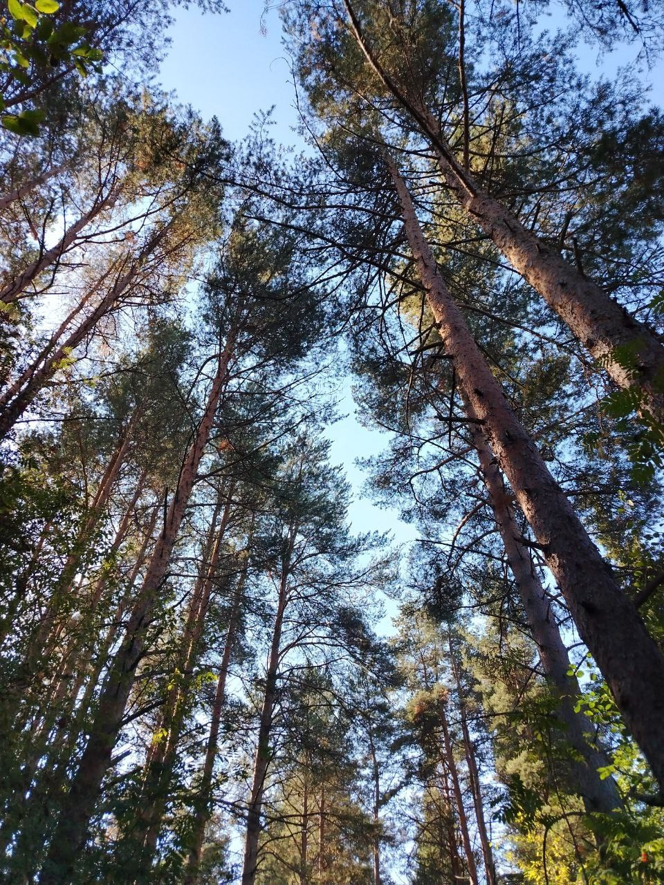 КАРЕЛЬСКАЯ ПЕРЕЗАГРУЗКА. INNERBLOOM TRAVEL-путешествия для авантюристов, мечтателей и настоящих гурманов по России и миру