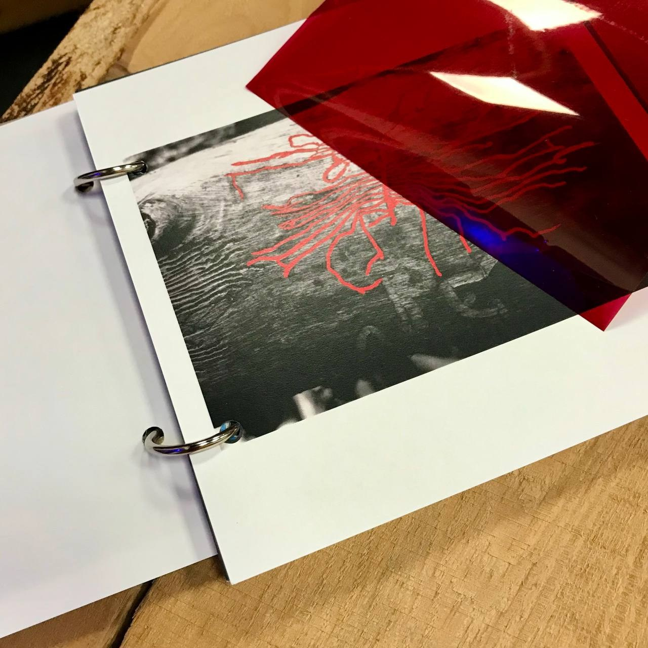 Презентация фотокниги «Beetlemania», 21.10.2023, г. Ростов-на-Дону, независимый книжный «В порядке». Лера Круглова