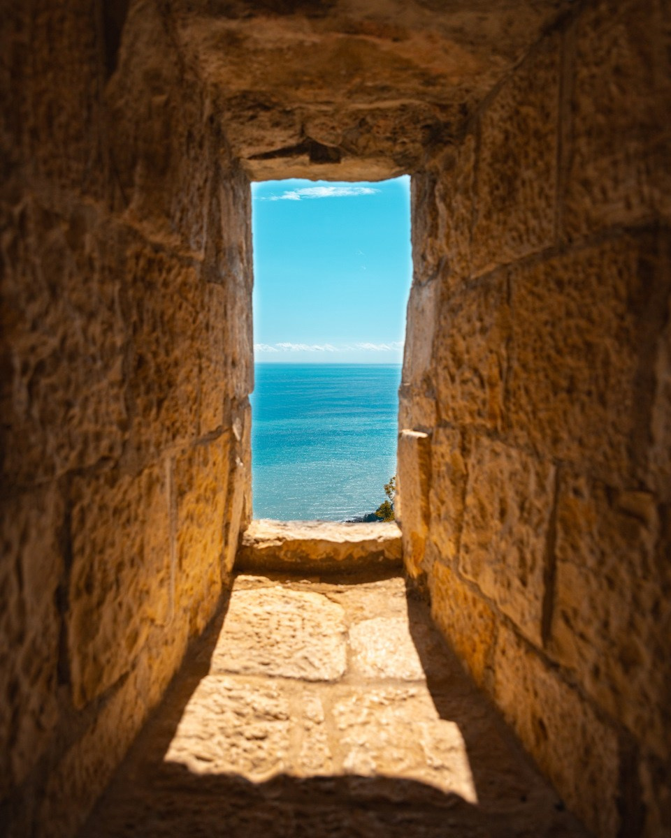 Обучающий фототур в Абхазию 20–25 февраля 2026. Детский и семейный фотограф Елена Михайлова в Москве