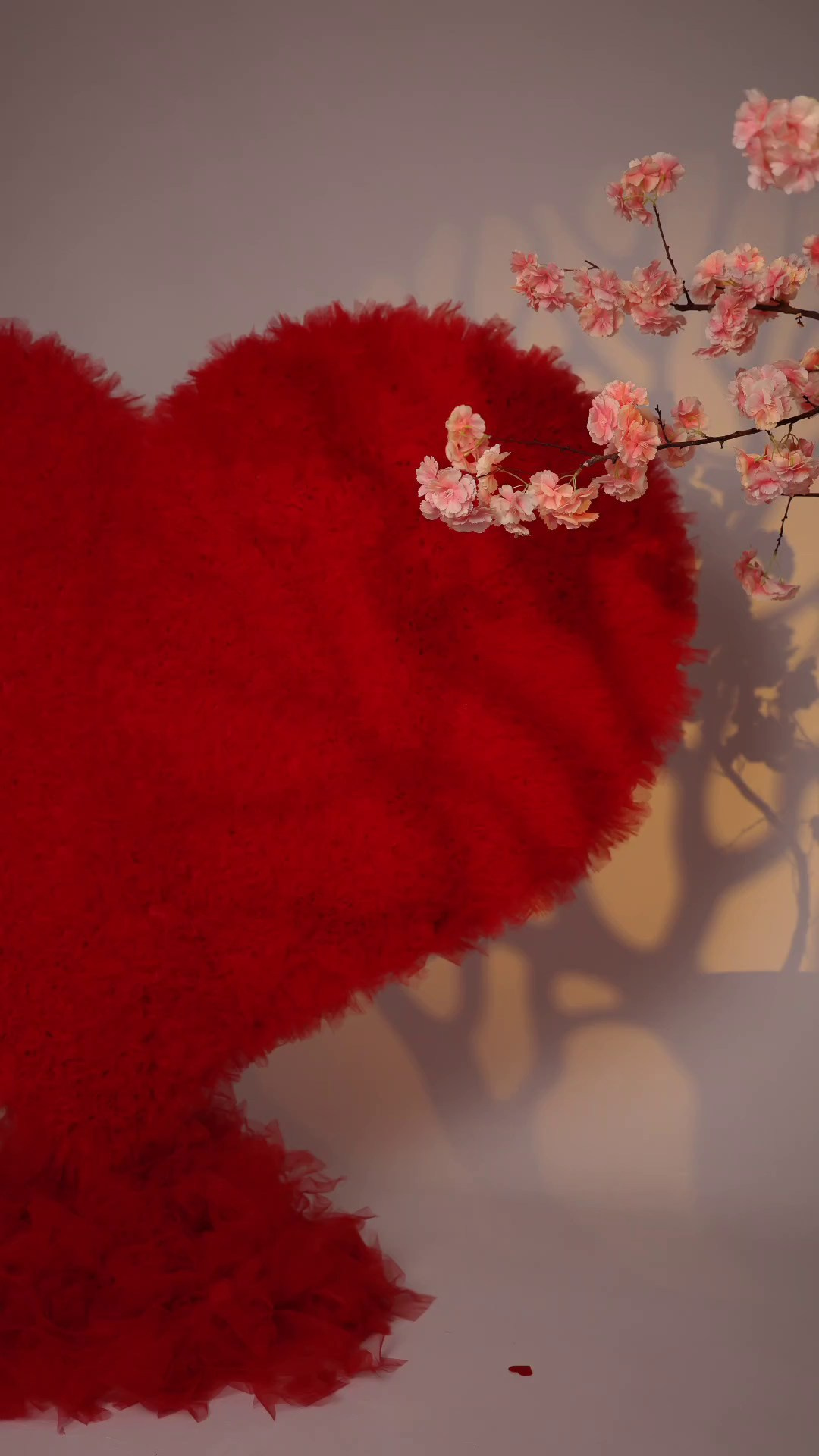 Фотостудия в Краснодаре