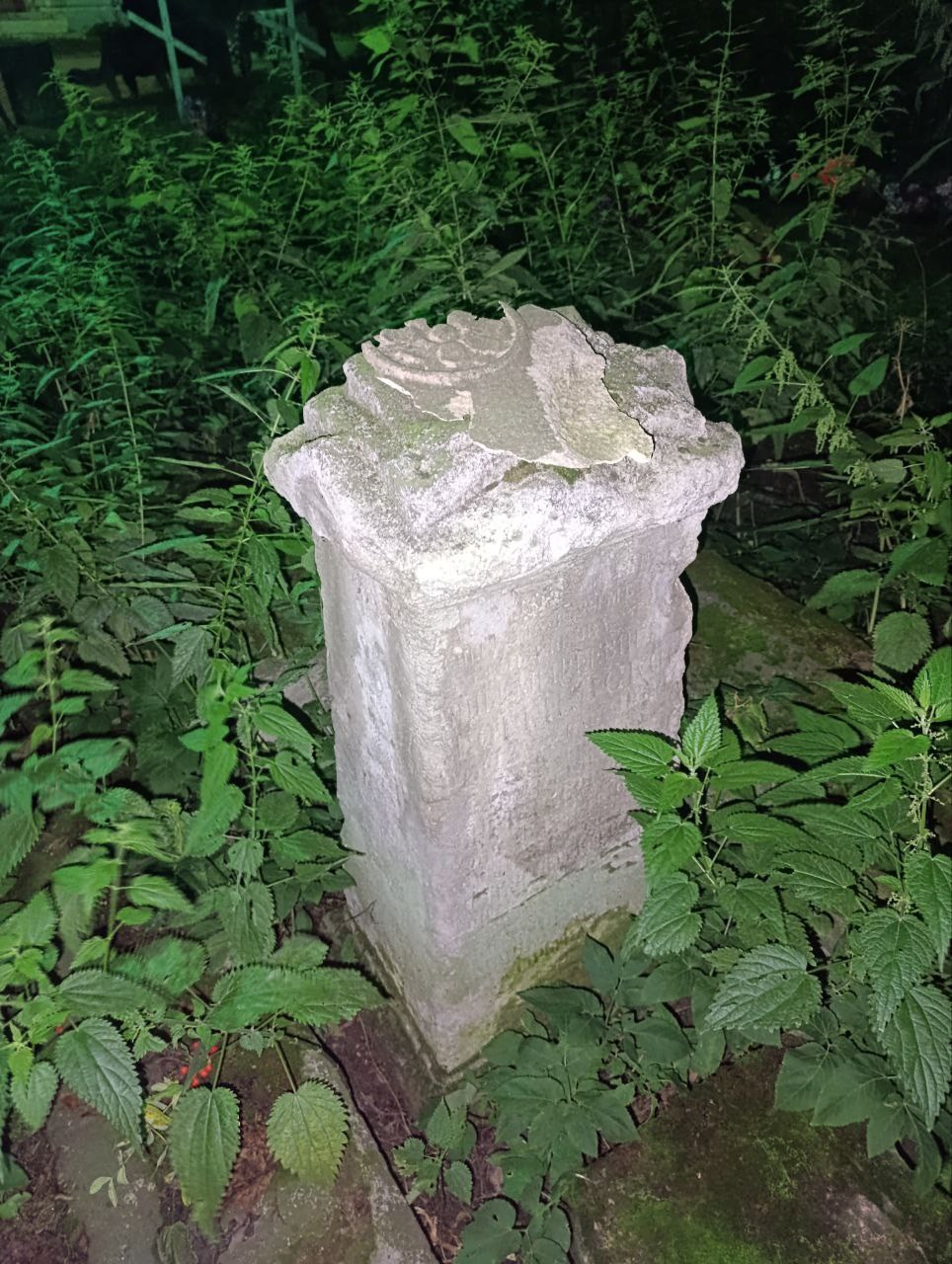 Елена Чернышова — Пираты воображения