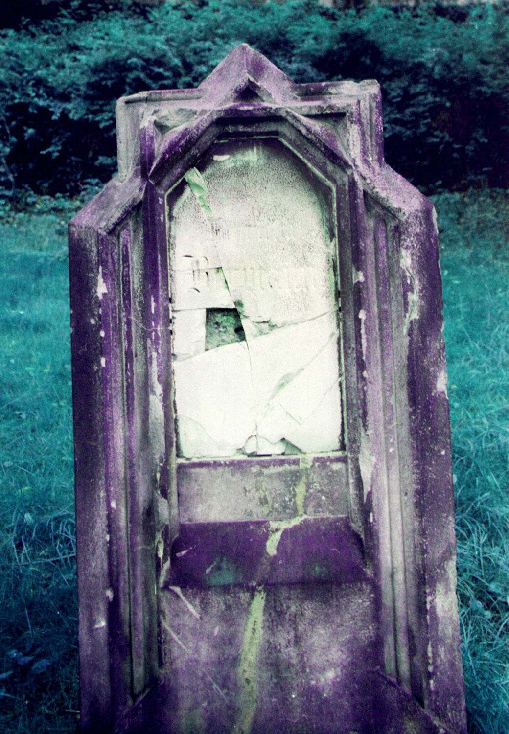 СНОВА СВЕЖАЯ ТРАВА, 2010–2015. Soulstamina ~ graphic designer & visual artist from St.Petersburg