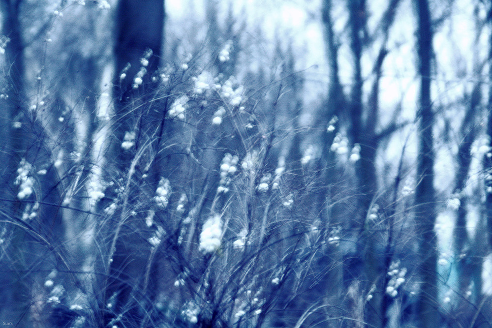 СНОВА СВЕЖАЯ ТРАВА, 2010–2015. Soulstamina ~ graphic designer & visual artist from St.Petersburg