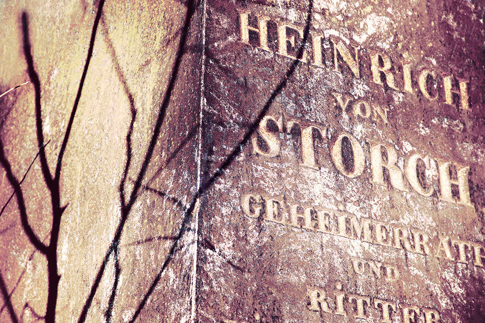 СНОВА СВЕЖАЯ ТРАВА, 2010–2015. Soulstamina ~ graphic designer & visual artist from St.Petersburg