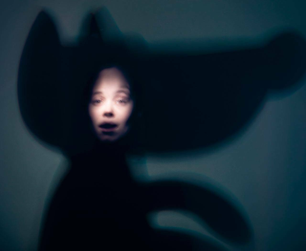 Правило страха. Mixed-media Artist Irina Sokolova