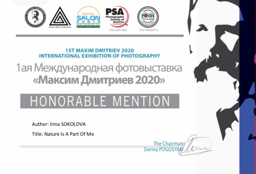 Об авторе. Mixed-media Artist Irina Sokolova